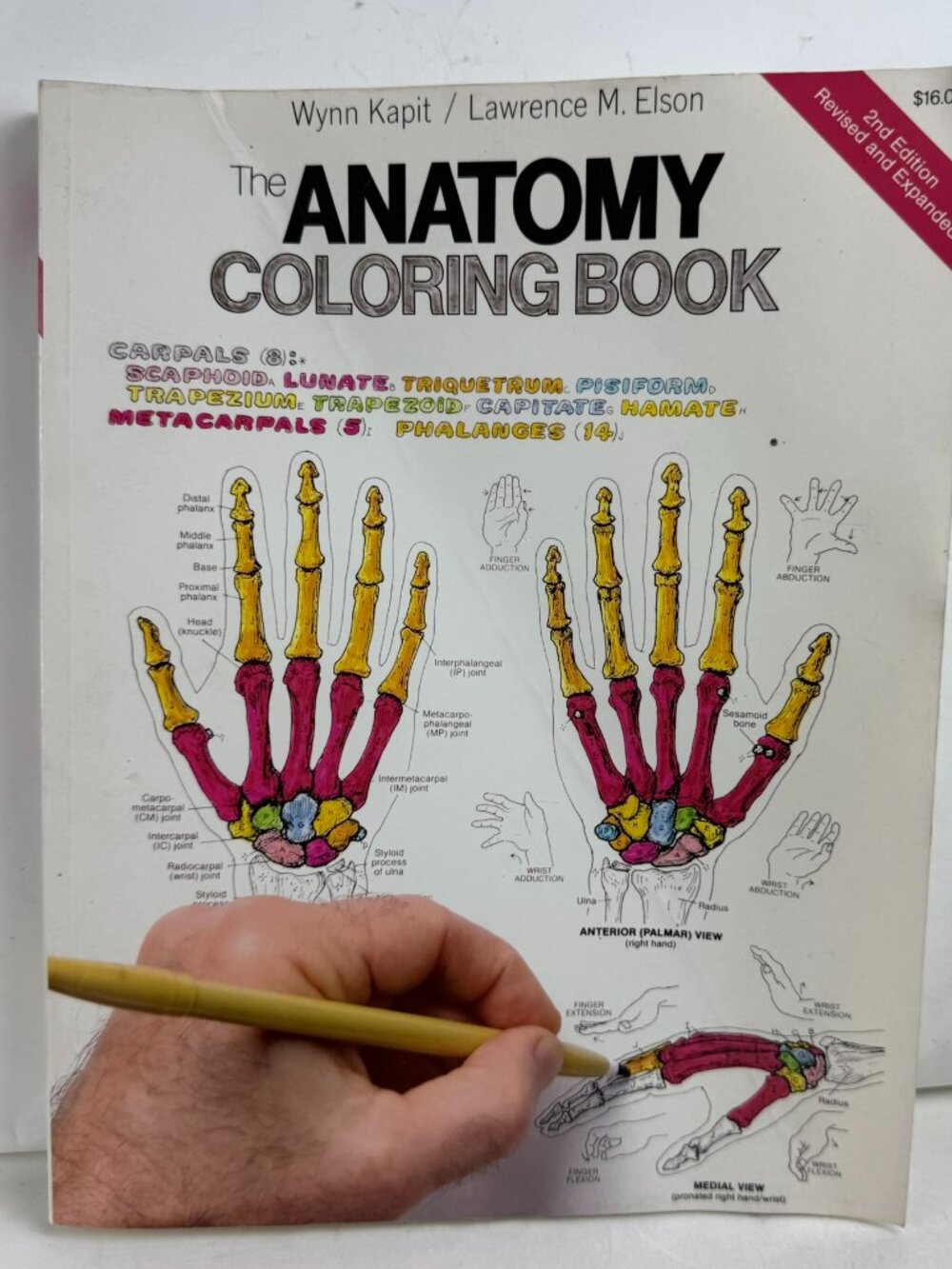 The Anatomy Coloring Book Wynn Kapit Lawrence Elson 2nd Ed Revised Expanded PB
